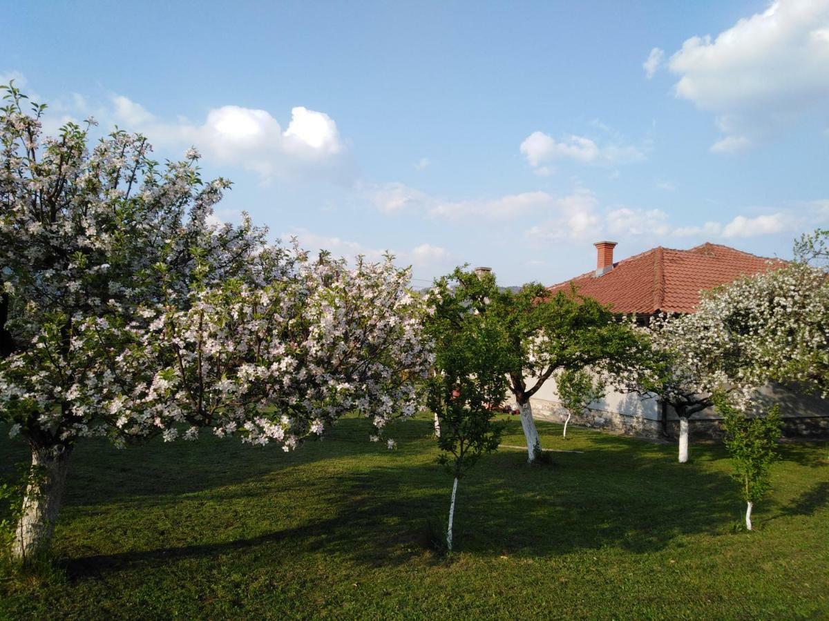 Ferienwohnung Mala Basta Bajina Basta Exterior foto